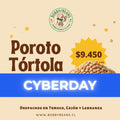 3 kg de porotos tórtola