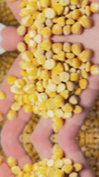 Garbanzos 8mm (1kg)